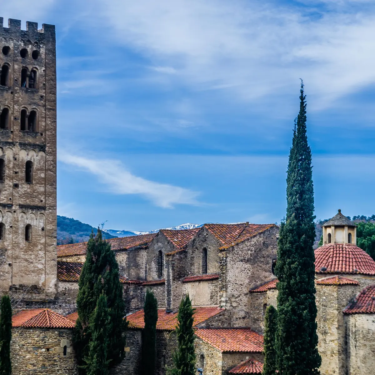 Abbaye-Saint-Michel--de-Cuxa--OTCONFLENTCANIGO--7-