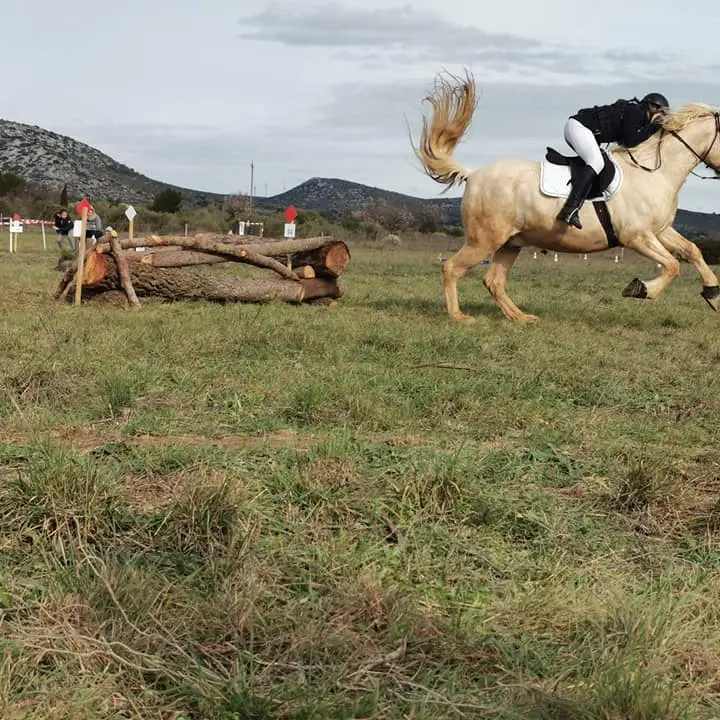 Aspres-Terrats-Le-Clan-d-Epona-3