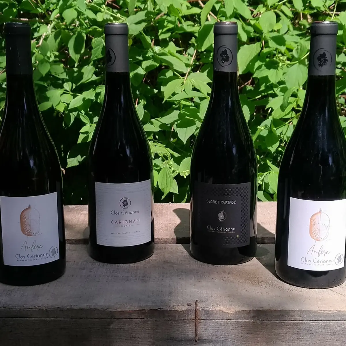 Aspres-Trouillas-Clos-Cerianne-2