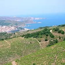 Banyuls sur Mer