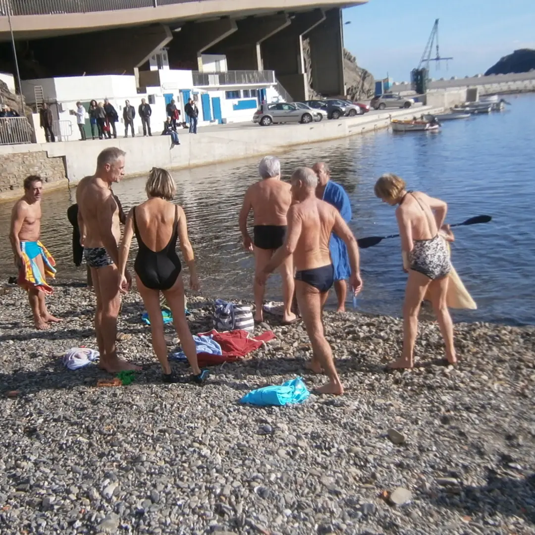 bain 1er janvier cerbere