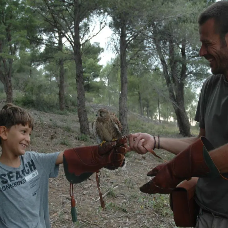 CASES DE PENE ECOZONIA 3