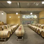 Domaine Thunevin-Calvet