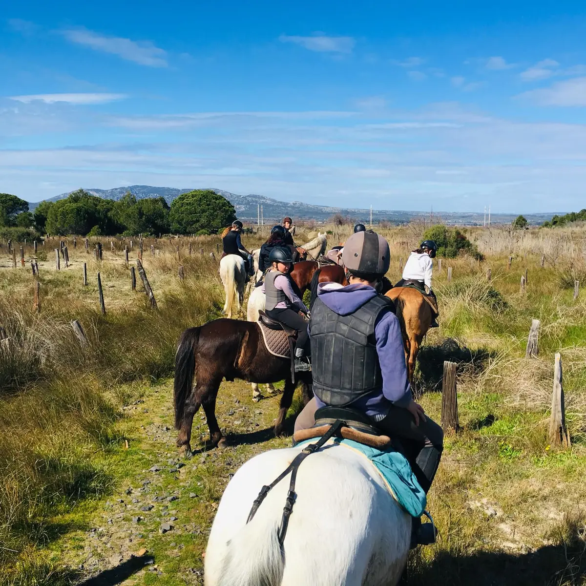 Centre équestre La Colonie 1