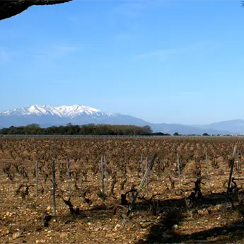 Chateau L'esparrou 1