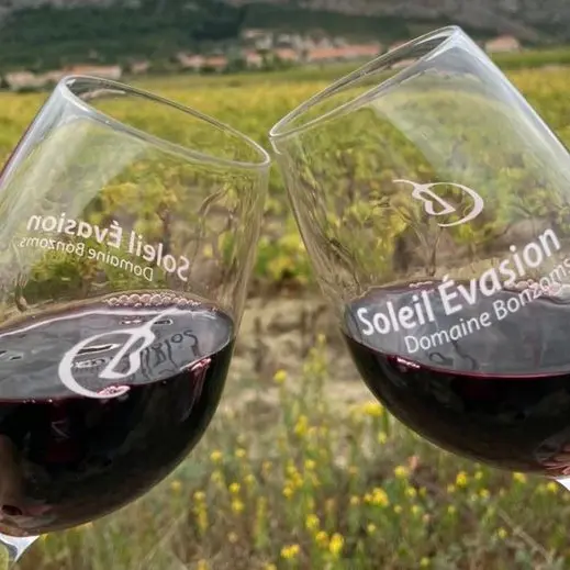 DOMAINE BONZOMS VERRES