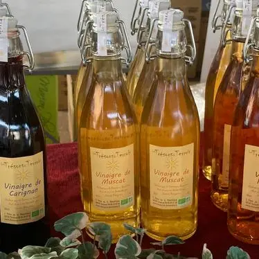 DOMAINE BONZOMS VINAIGRES