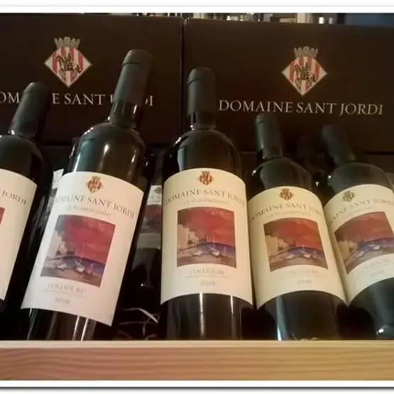 DOMAINE SANT JORDI 2