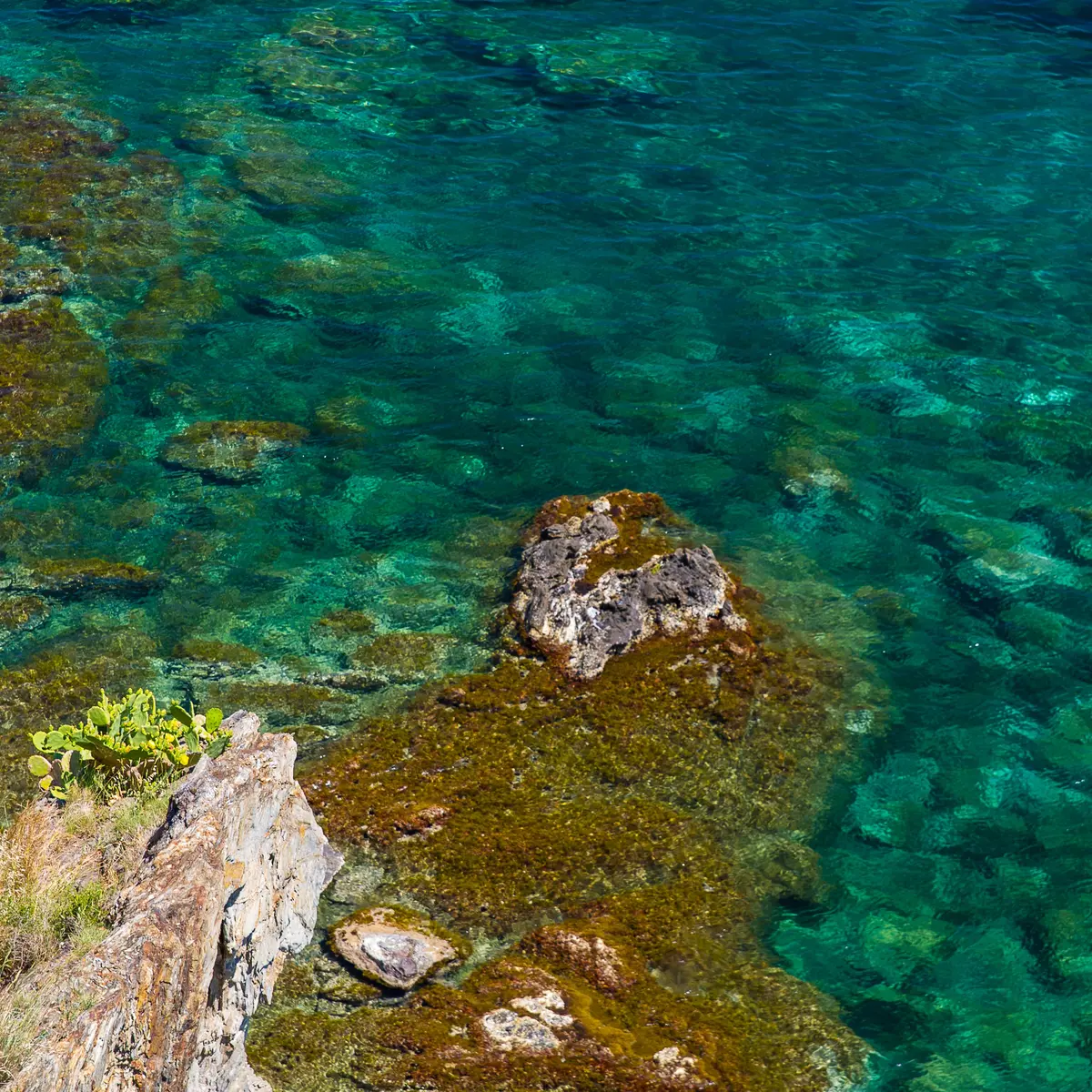 Réserve naturelle marine Cerbere Banyuls