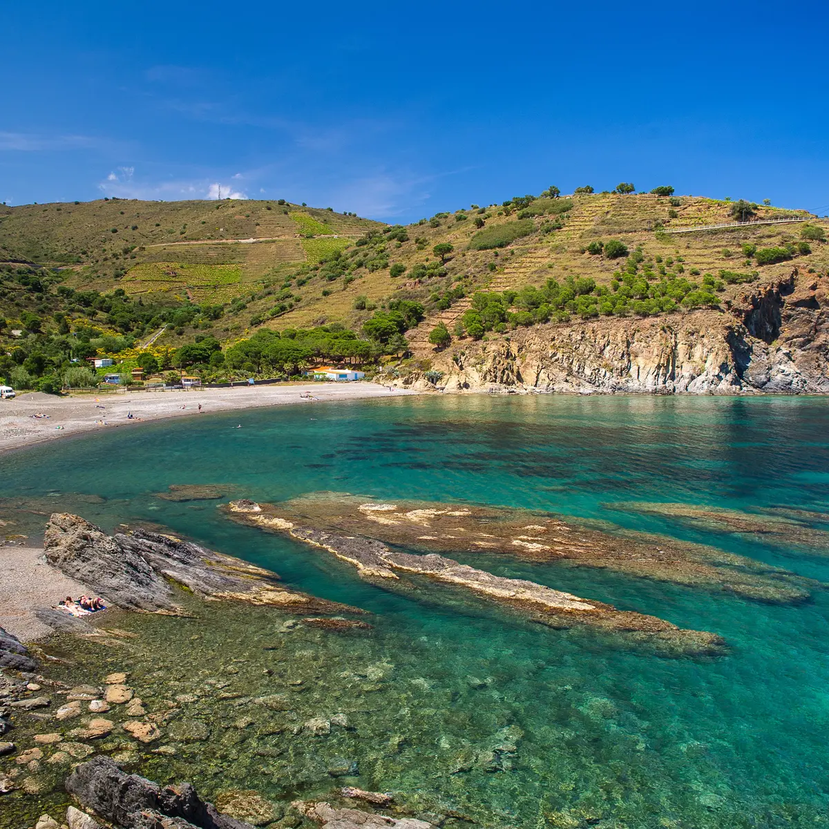 Réserve naturelle marine Cerbere Banyuls