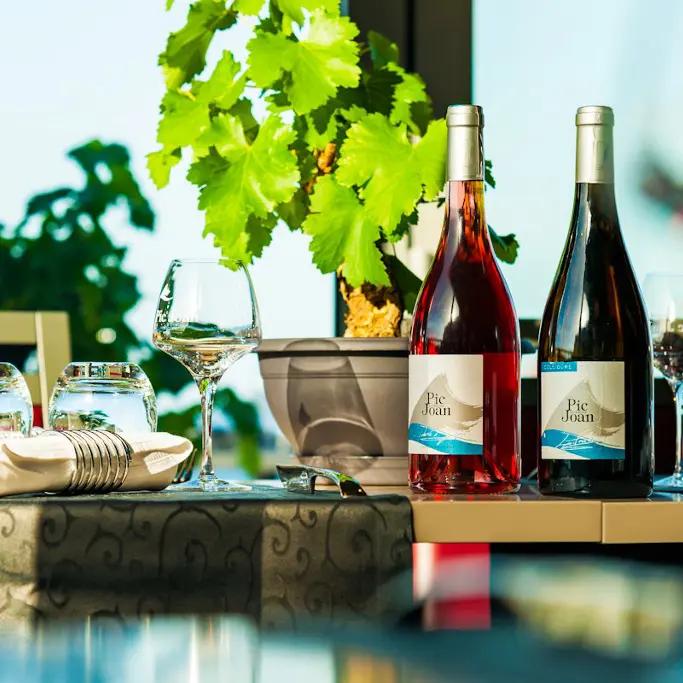 Domaine Pic Joan 4