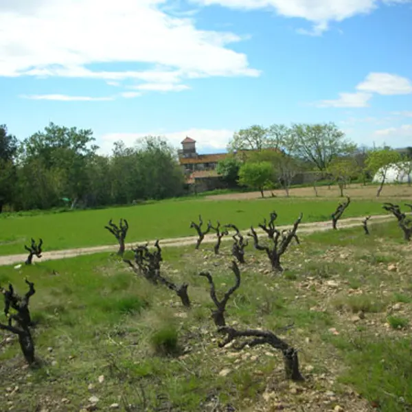 Domaine de Nidolères 1