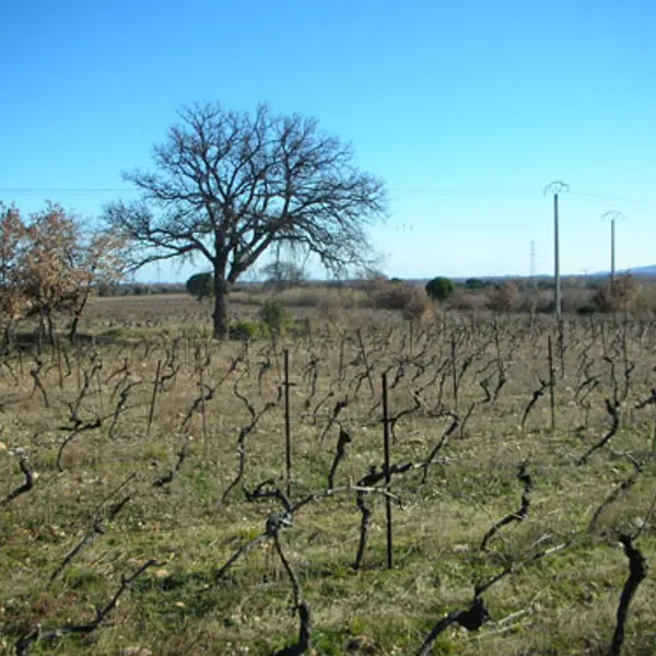Domaine de Nidolères 3