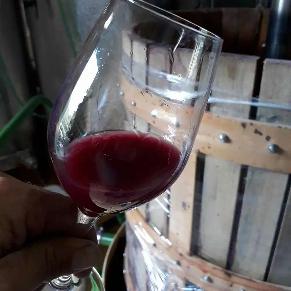 Domaine des Hélianthemes 1