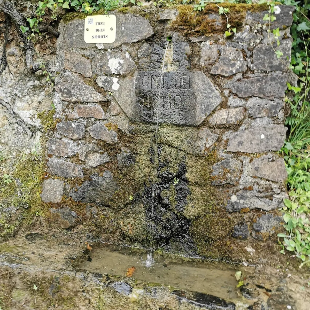 RANDO 2 FONTAINES LAROQUE