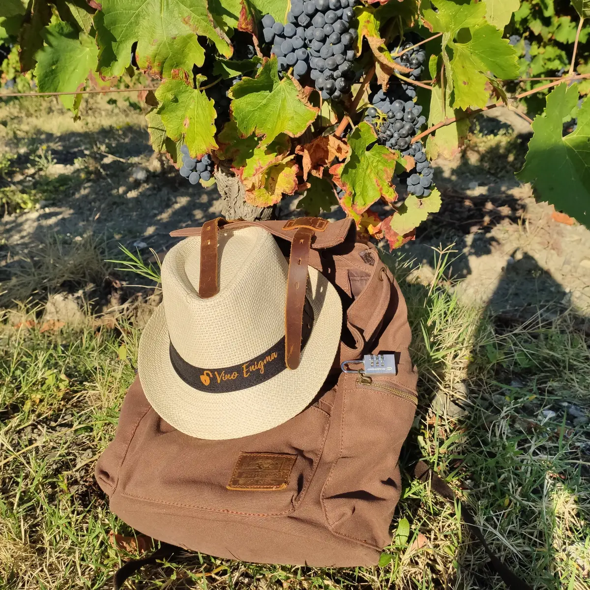 IMG_20200913_092241 (1)