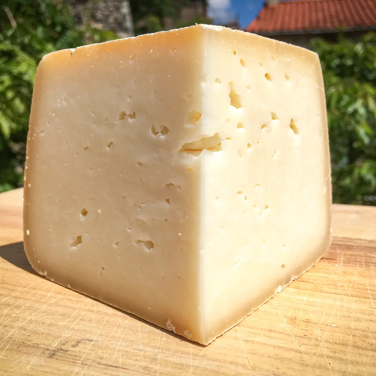 Tome au lait cru de Brebis