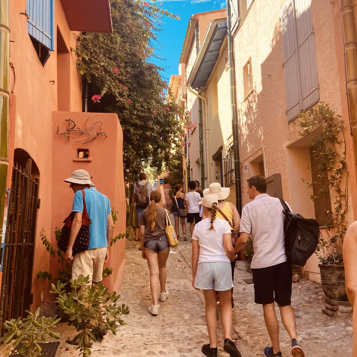 Visite guidée Collioure Insolite