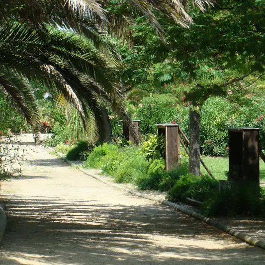 Jardin exotique de Ponteilla allée