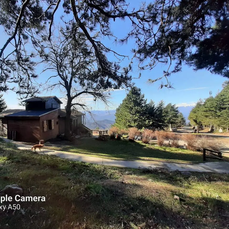 GITE D'ETAPE REFUGE GR10 LE CHALET DE L'ALBERE 1