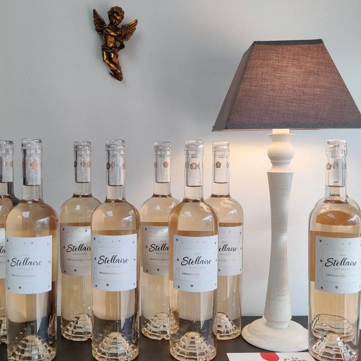 La Cave à Féfé - Argeles Plage - Rosé Stellaire Arnaud de Villeneuve