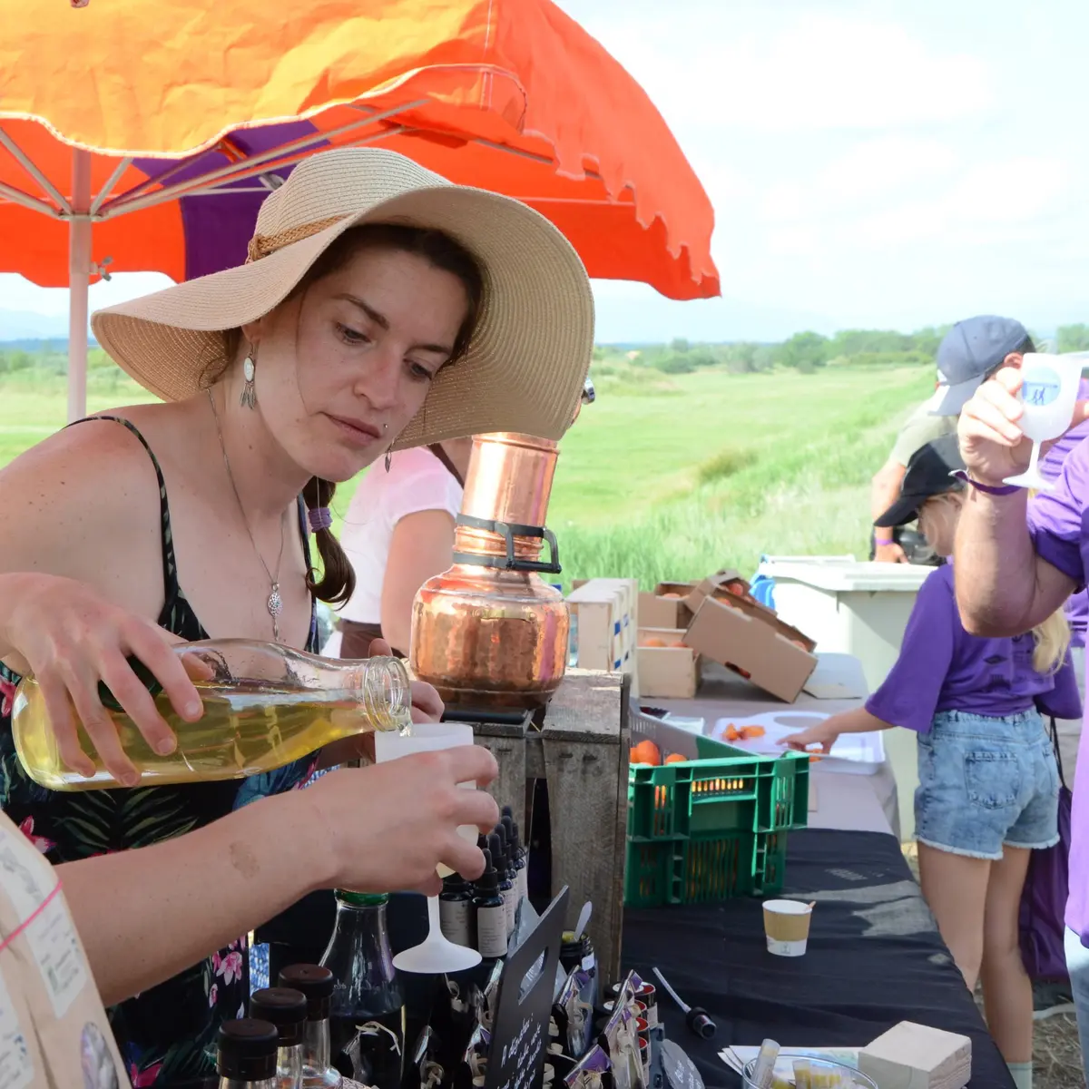 La Solana à Mantet (1)