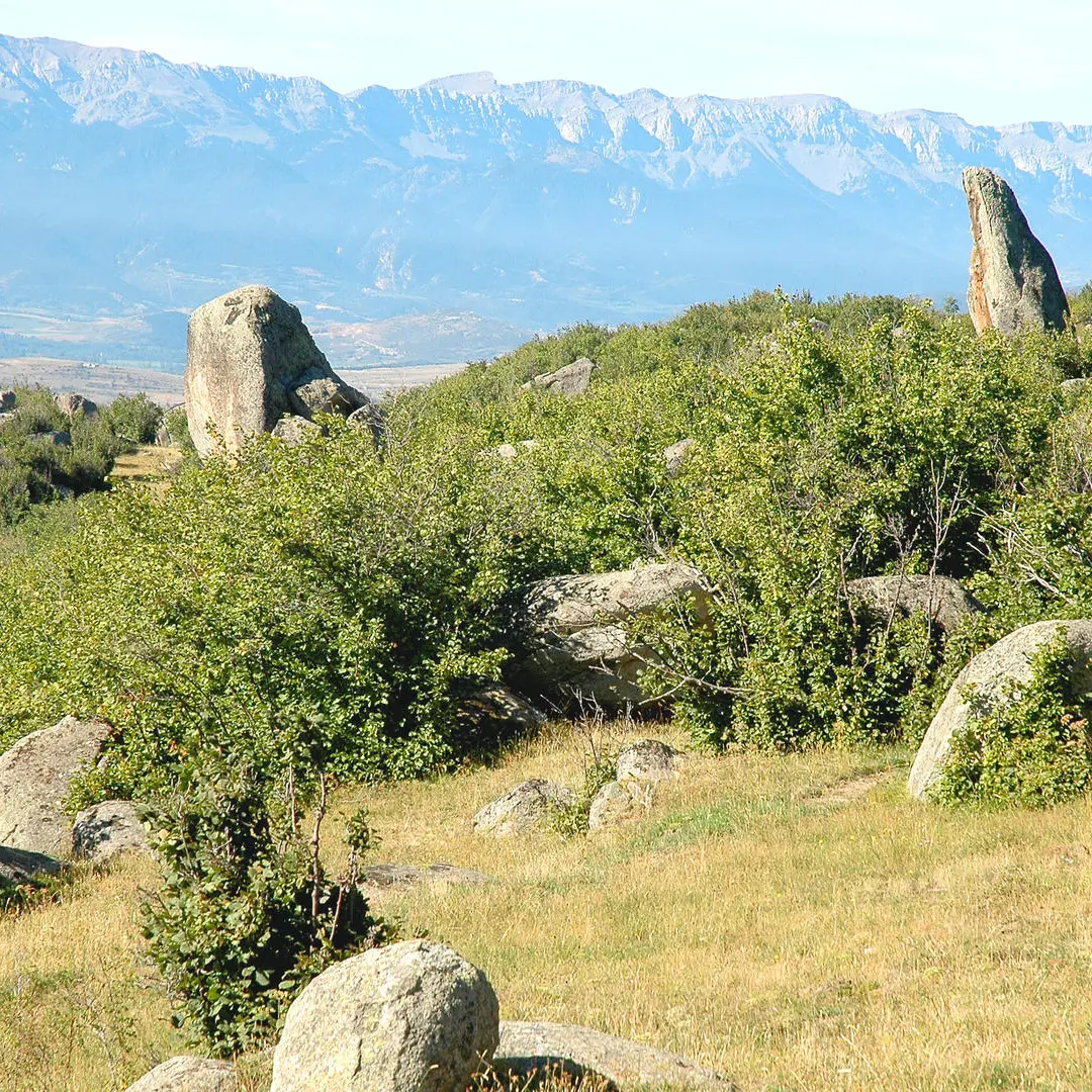 La découverte d'une enclave