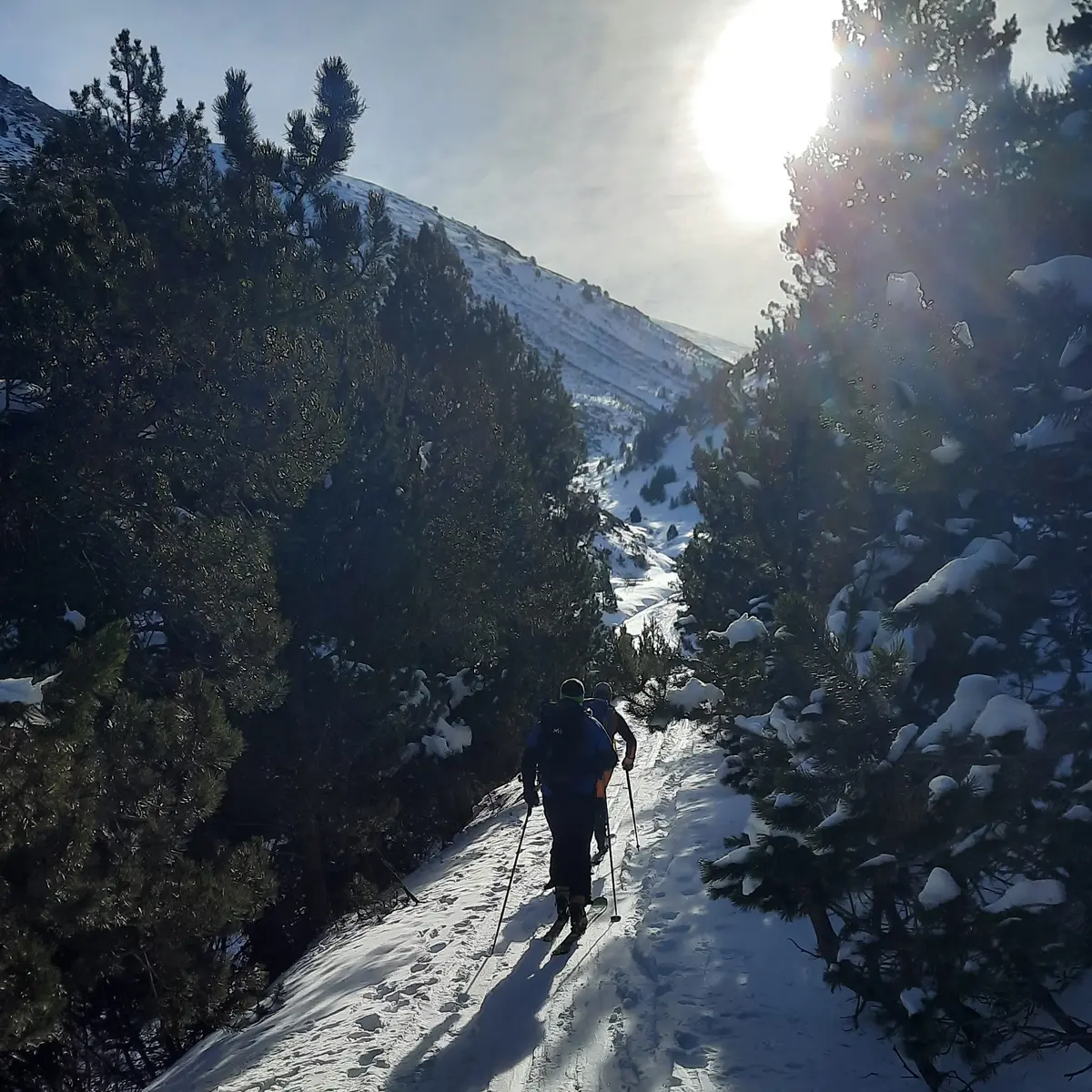 La foret de Valcebollère en direction de la chapelle - format carré