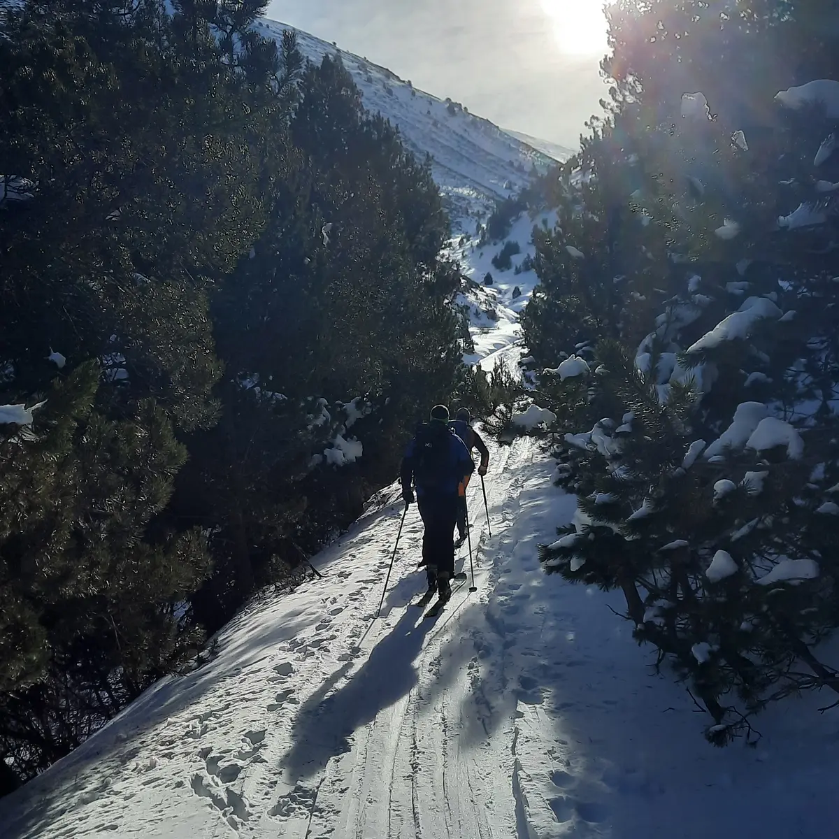 La foret de Valcebollère en direction de la chapelle