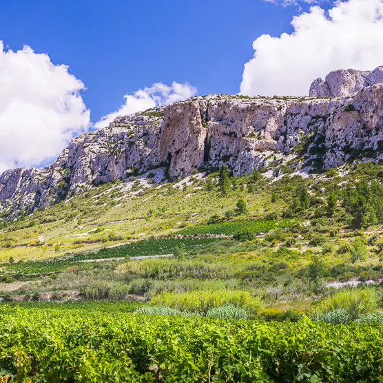Le Cirque de Vingrau