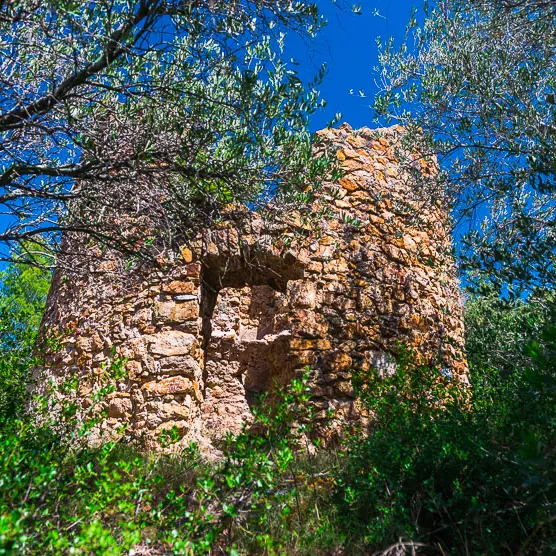 Le moulin de Vingrau