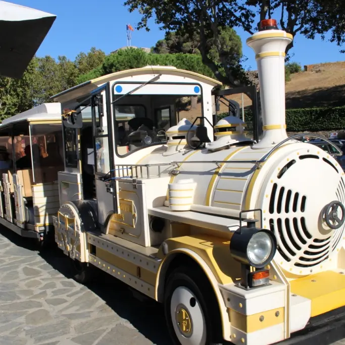 les petits trains touristiques