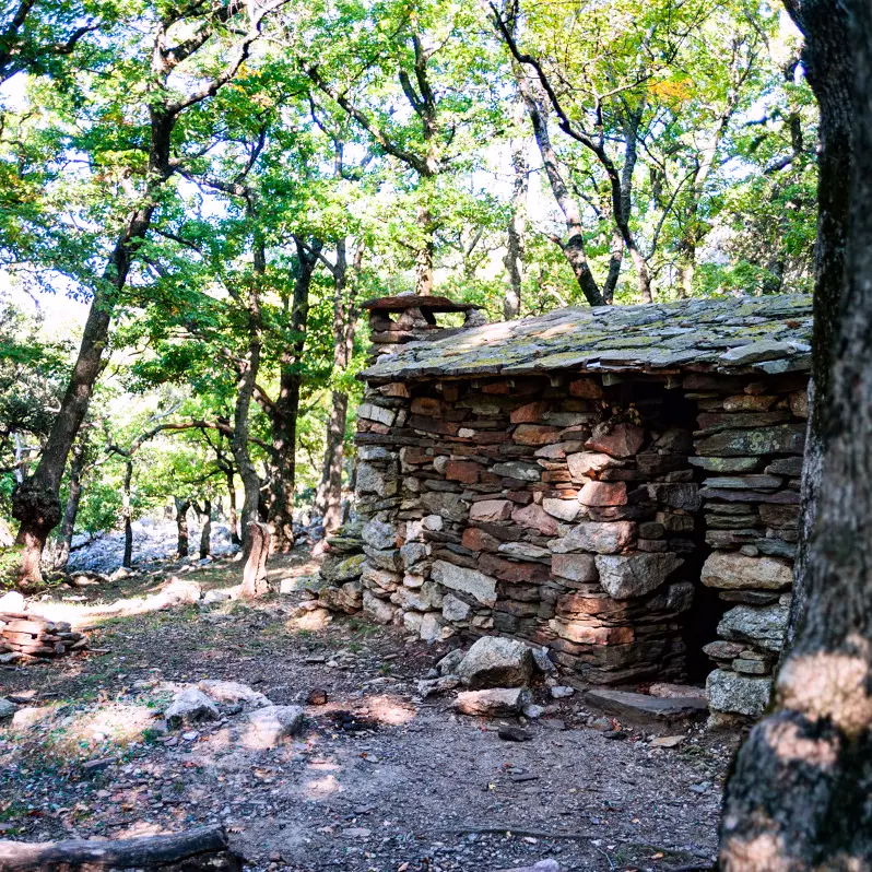 Les_Alberes-ArgelesTourisme-Benjamin_COLLARD-821-1200px