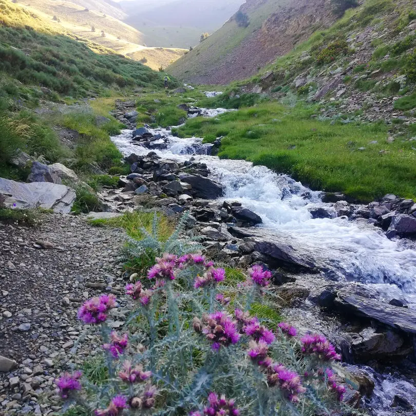 Les crêtes du Puigmal