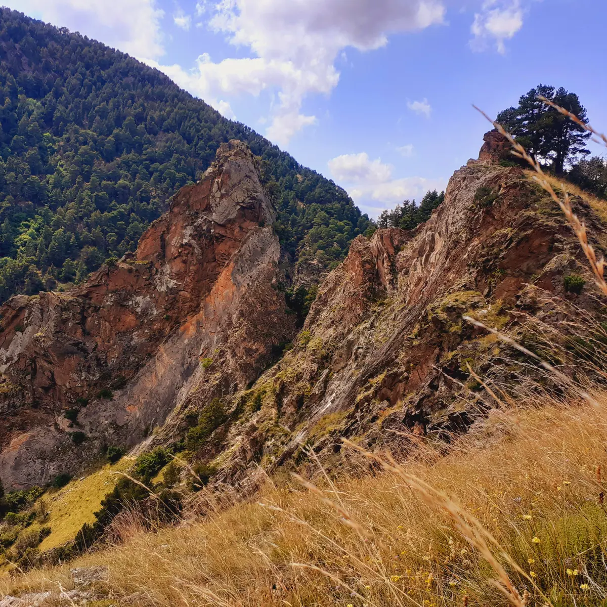 Les gorges du Sègre