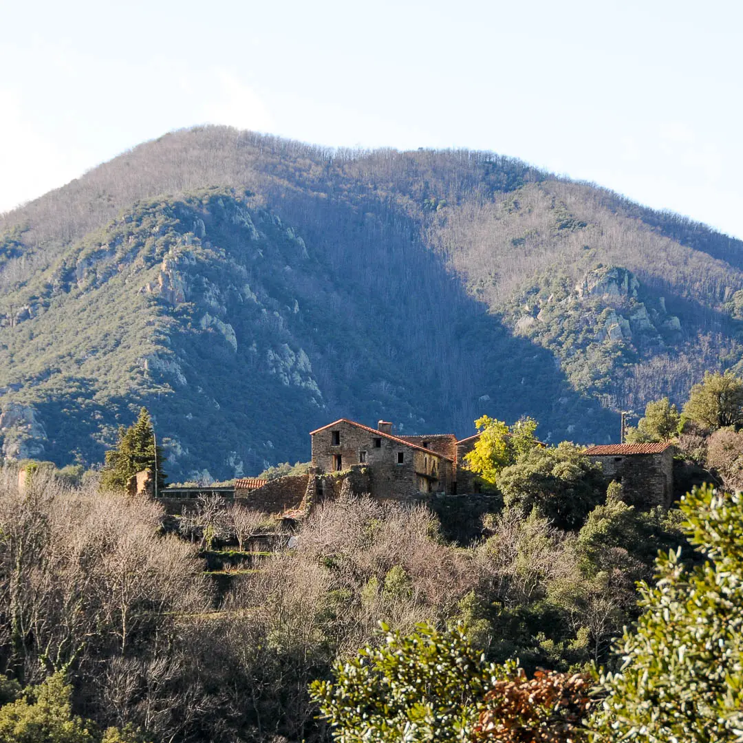 Amélie-les-Bains - Montalba via le Drapeau