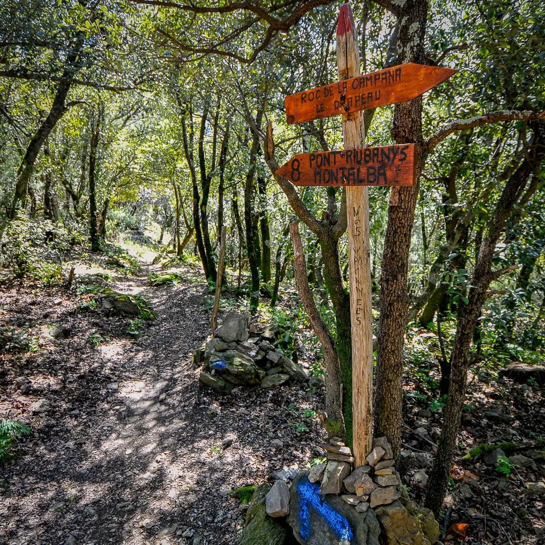 Amélie-les-Bains - Montalba via le Drapeau