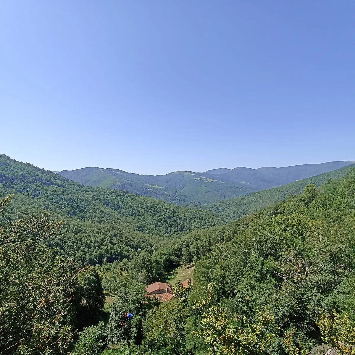 N° 1Photo principale