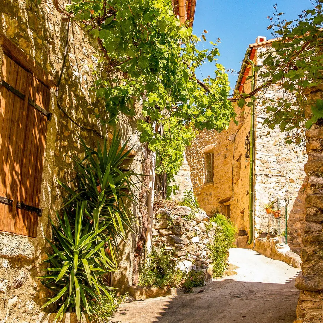 Palalda Arles sur Tech