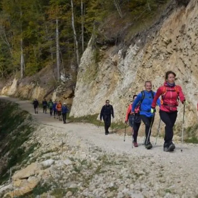 PYRENEVASION FAST HIKING