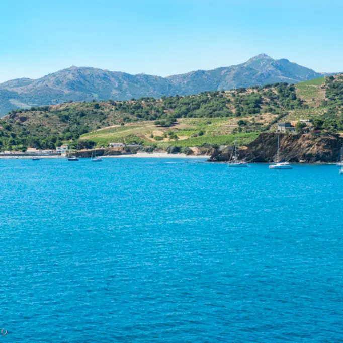 Paulilles_depuis_sentier_littoral