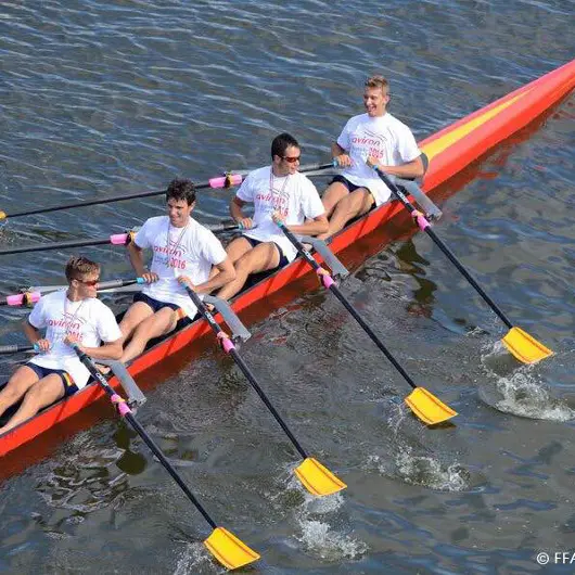 Perpignan Aviron 66 - 4