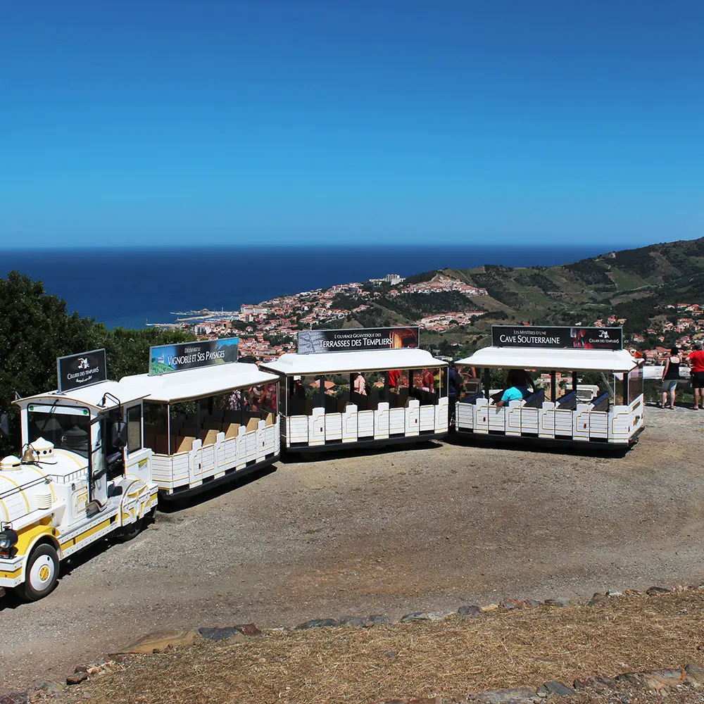 Petit Train Touristique du Vignoble 2