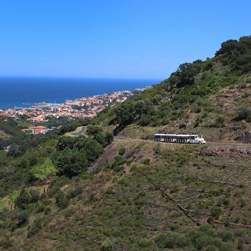 Petit Train Touristique du Vignoble 3