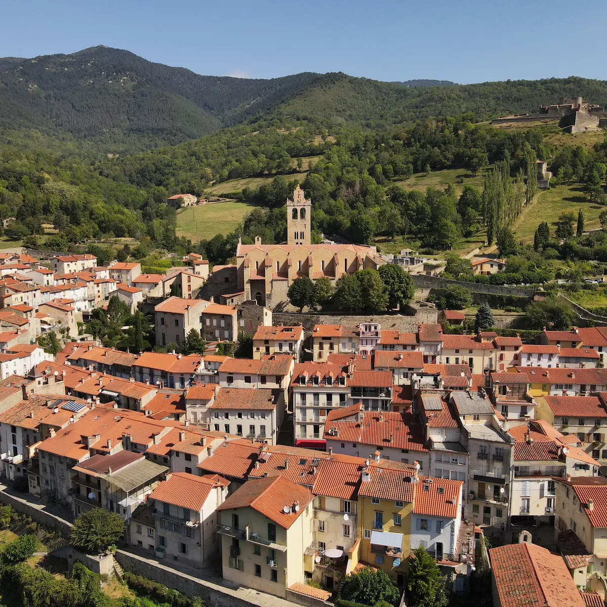 Prats-de-Mollo-la-Preste vue générale