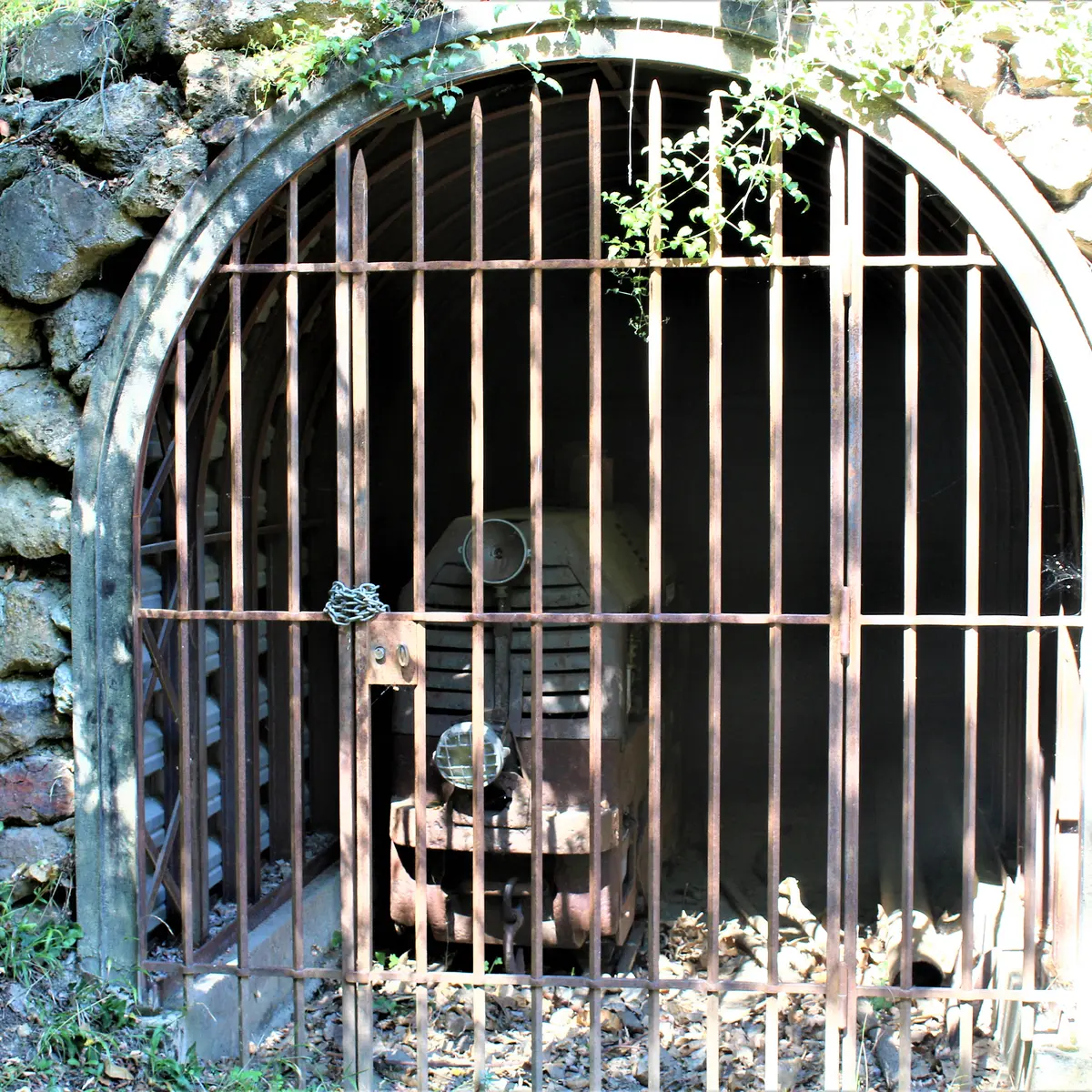 Salver - Galerie 703