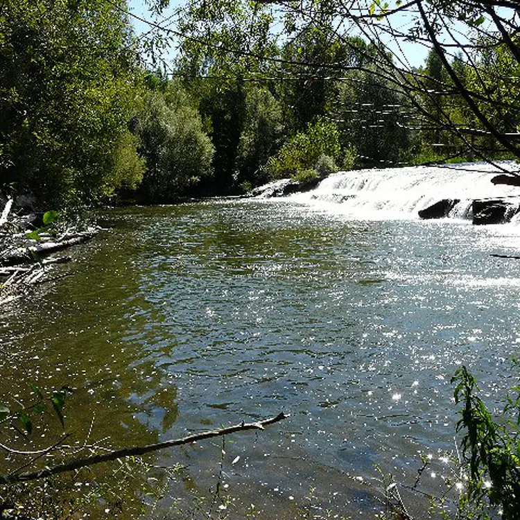 THierry Couasnon peche