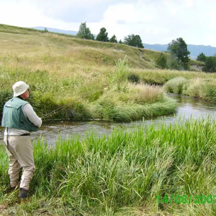 Thierry Couasnonparcours_truite1