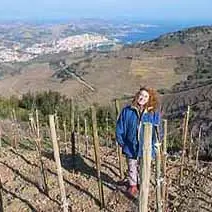 Domaine le Casot des Mailloles