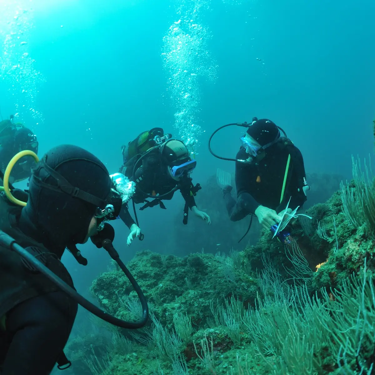 aquaplanet saint cyprien 03 1920px